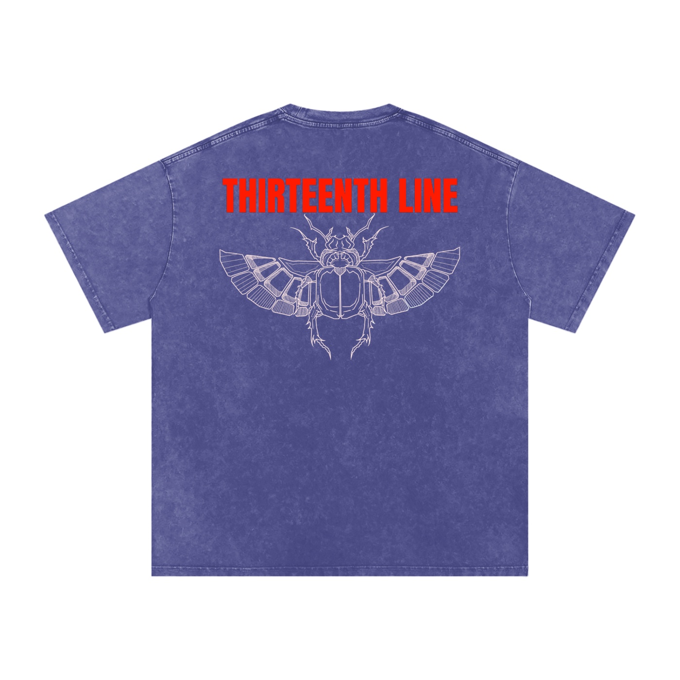 “SCARAB”Snow Washed Oversized Cotton T-Shirt - Image 6