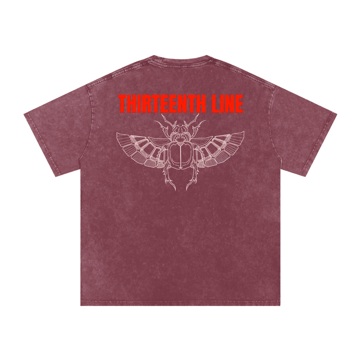 “SCARAB”Snow Washed Oversized Cotton T-Shirt - Image 14