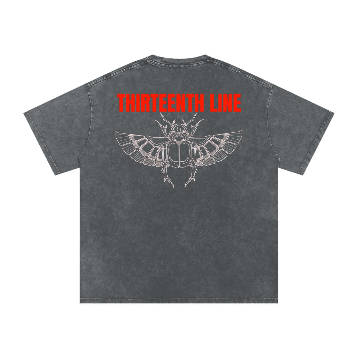 “SCARAB”Snow Washed Oversized Cotton T-Shirt - Image 10